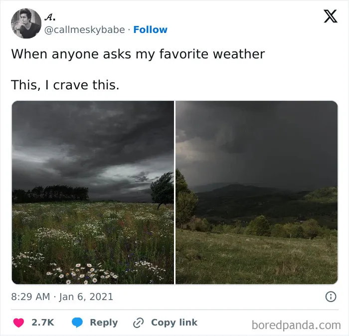 50 Memes That Make Fun Of Almost Everything