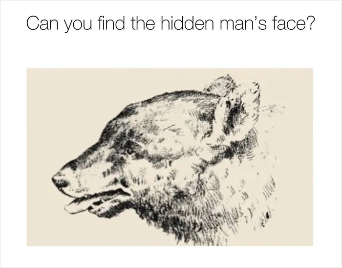 30 Images Right From This Optical Illusion Page That Will Make You Think Twice About The Answer