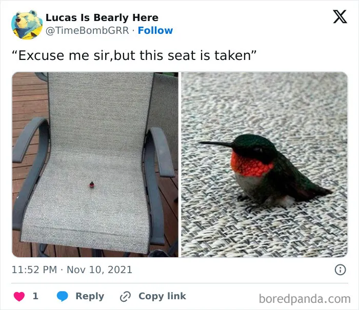 50 Funny And Awkward Animal Posts That Might Make Your Day Much Better