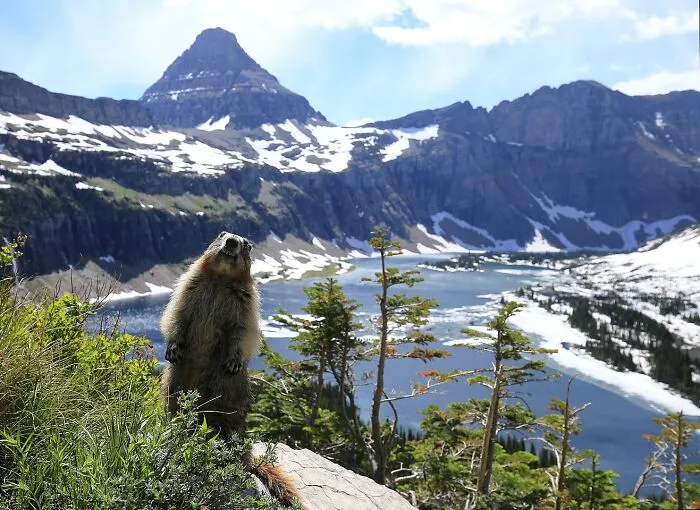 Someone Asks Online: "What Is The Most Beautiful Place You Have Ever Visited?", Receives 33 Answers