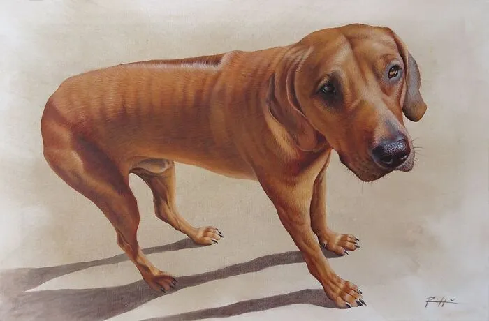 Italian Artist Roberto Rizzo Brings Pets To Life In 26 Realistic Portraits
