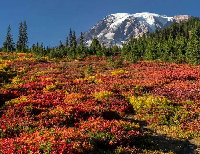 Someone Asks Online: "What Is The Most Beautiful Place You Have Ever Visited?", Receives 33 Answers