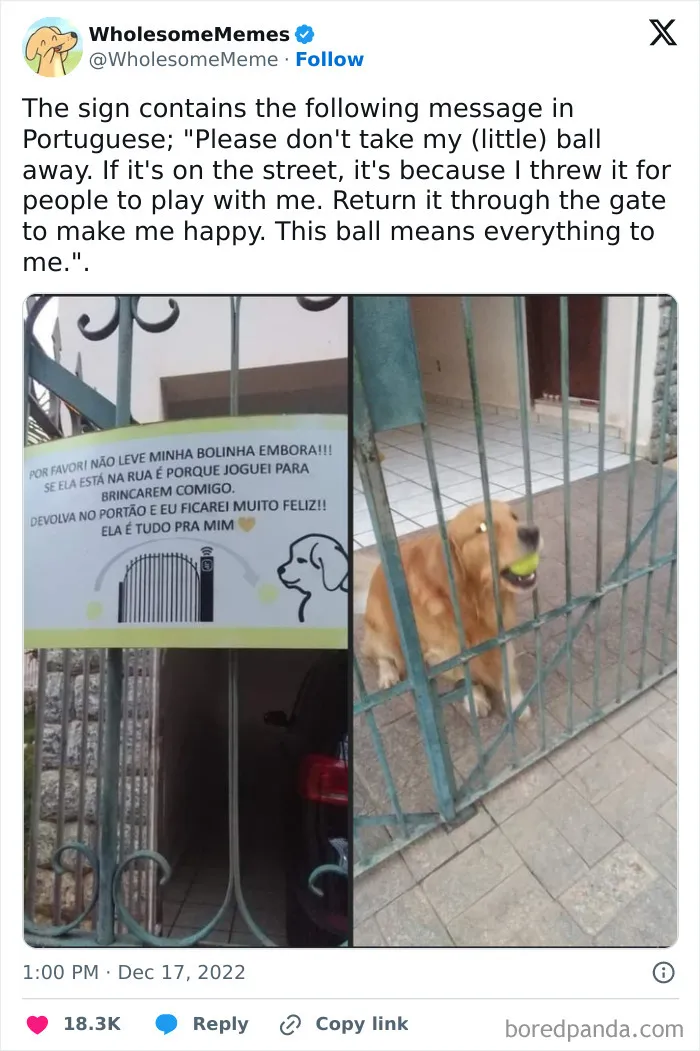 50 Wholesome Memes And Posts That Remind Us The World Isn’t All Bad