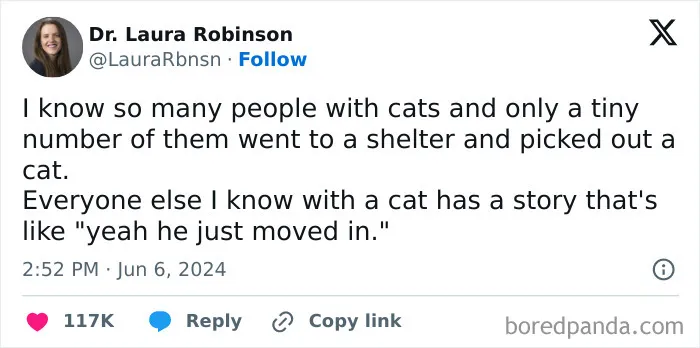 This FB Page Is Home To Hilarious Cat-Centered Memes, And Here Are 50 Of The Most Purr-Fect Ones