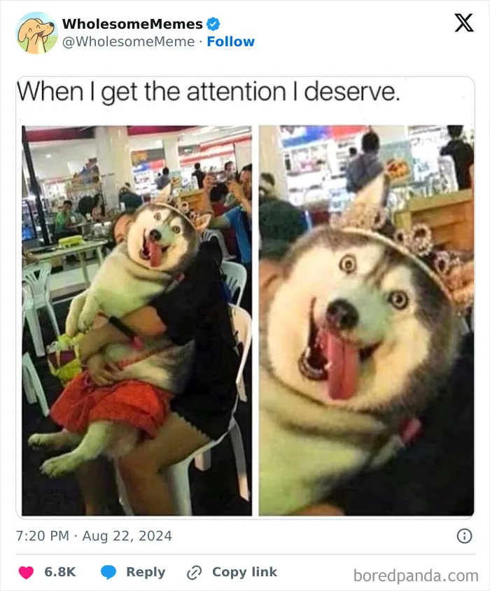 50 Wholesome Memes To Remind You That The World Isn’t All Bad (New Pics)