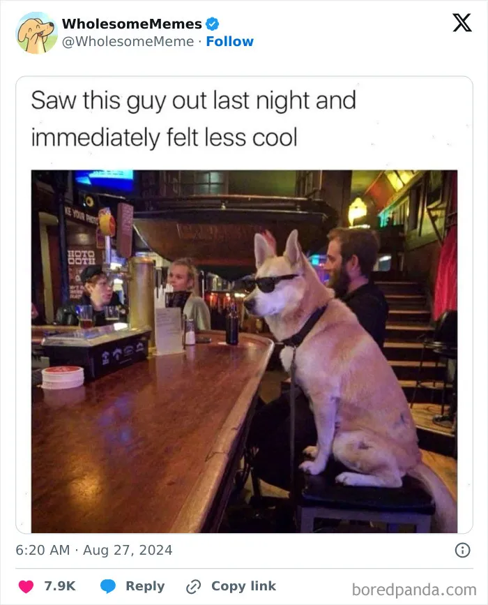50 Wholesome Memes To Remind You That The World Isn’t All Bad (New Pics)