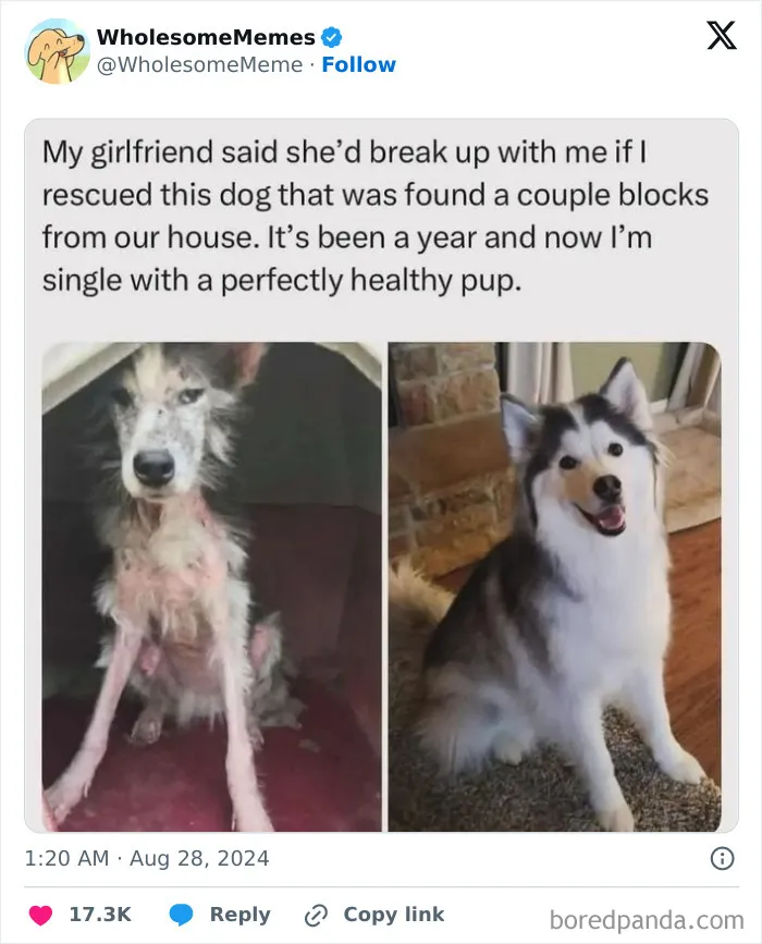 50 Wholesome Memes To Remind You That The World Isn’t All Bad (New Pics)