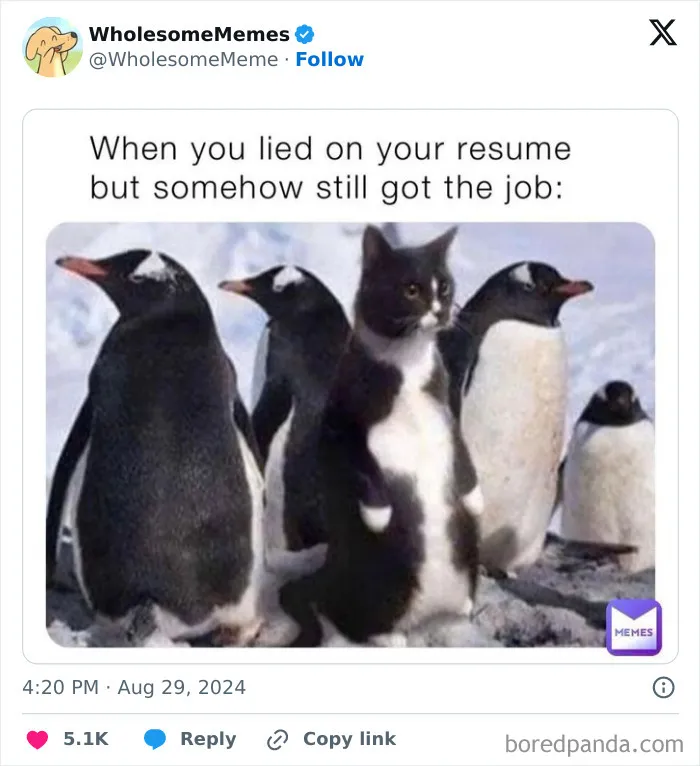 50 Wholesome Memes To Remind You That The World Isn’t All Bad (New Pics)