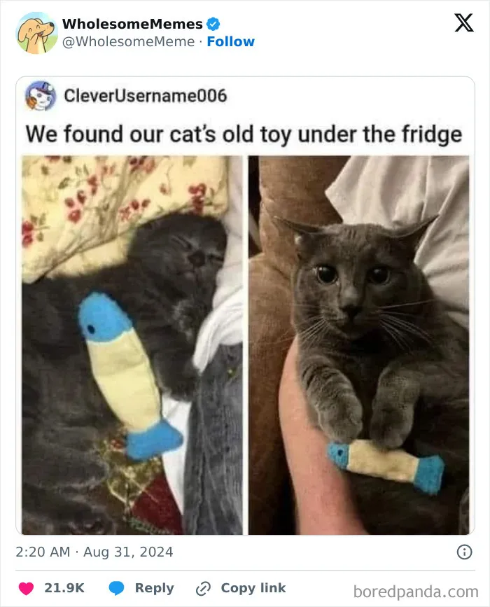 50 Wholesome Memes To Remind You That The World Isn’t All Bad (New Pics)