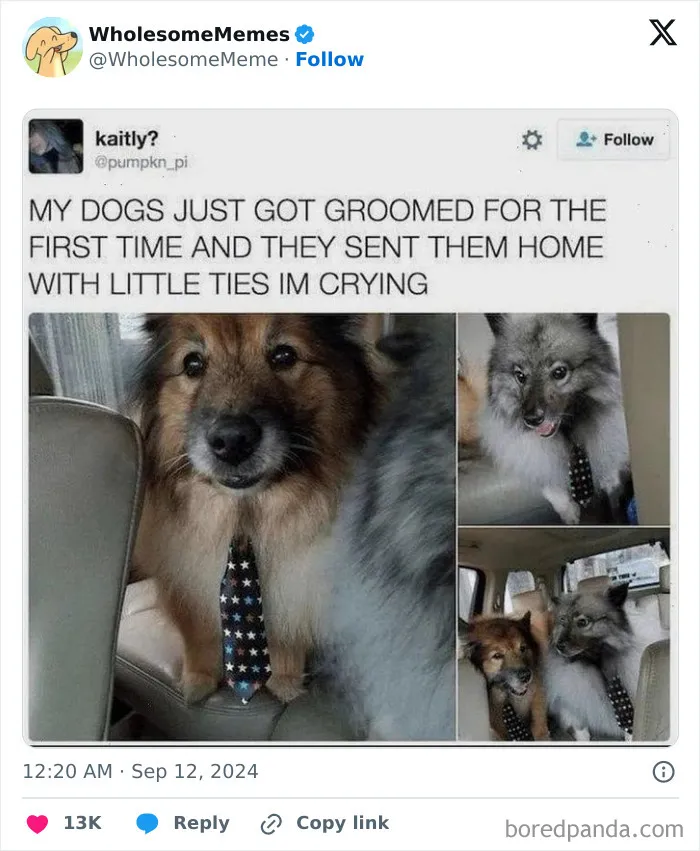 50 Wholesome Memes To Remind You That The World Isn’t All Bad (New Pics)