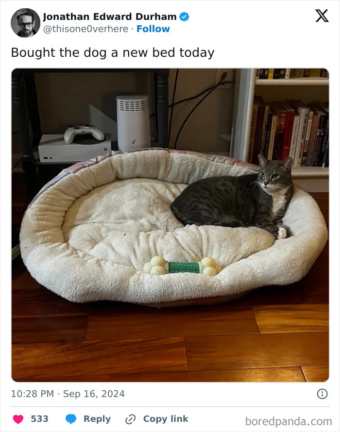 50 Hilarious Things People Posted On X In September