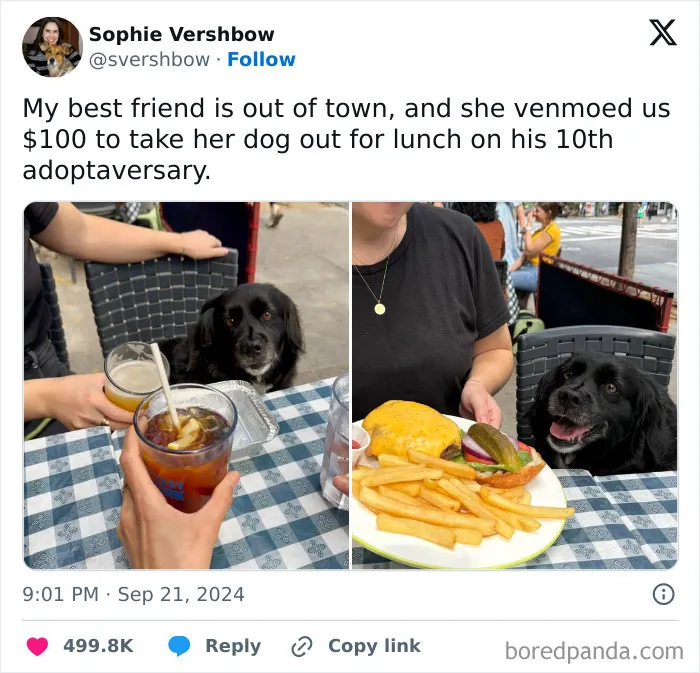 50 Hilarious Things People Posted On X In September