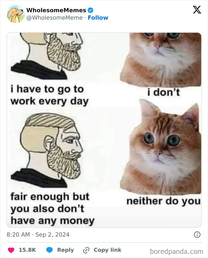 50 Wholesome Memes To Remind You That The World Isn’t All Bad (New Pics)