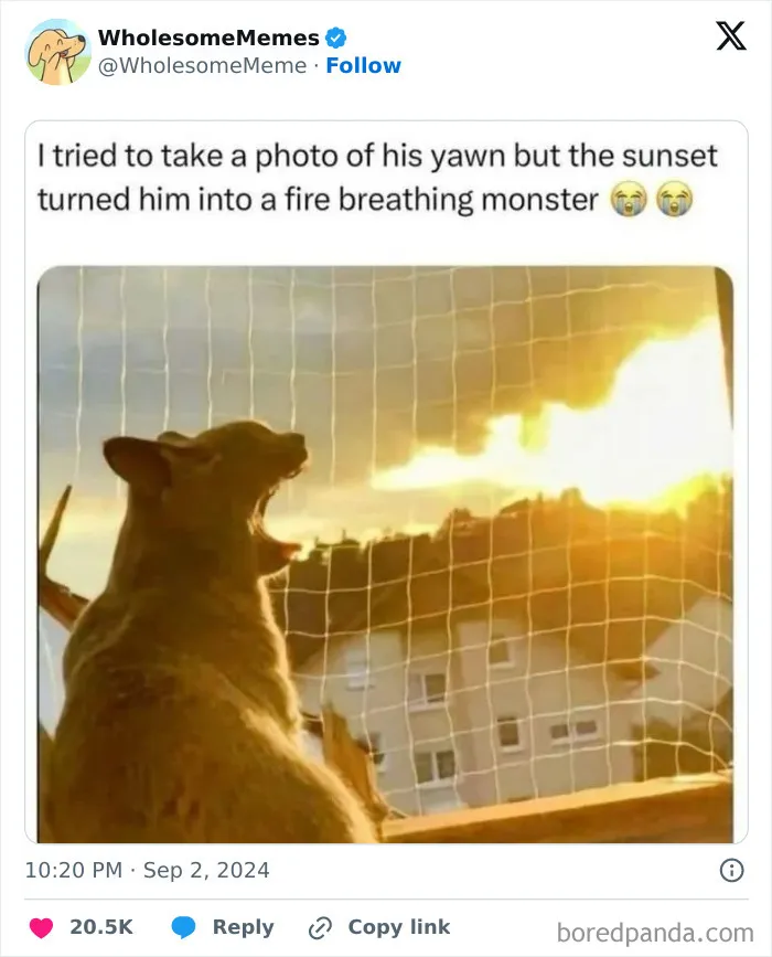 50 Wholesome Memes To Remind You That The World Isn’t All Bad (New Pics)