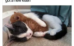 50 Wholesome Memes To Remind You That The World Isn’t All Bad (New Pics)