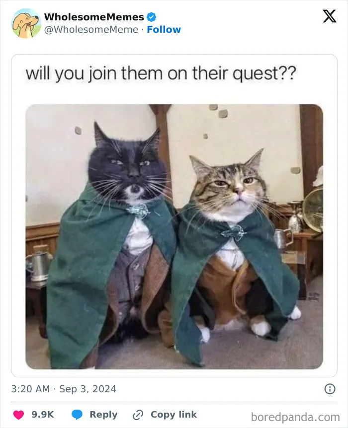 50 Wholesome Memes To Remind You That The World Isn’t All Bad (New Pics)