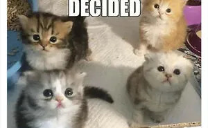 50 Wholesome Memes To Remind You That The World Isn’t All Bad (New Pics)