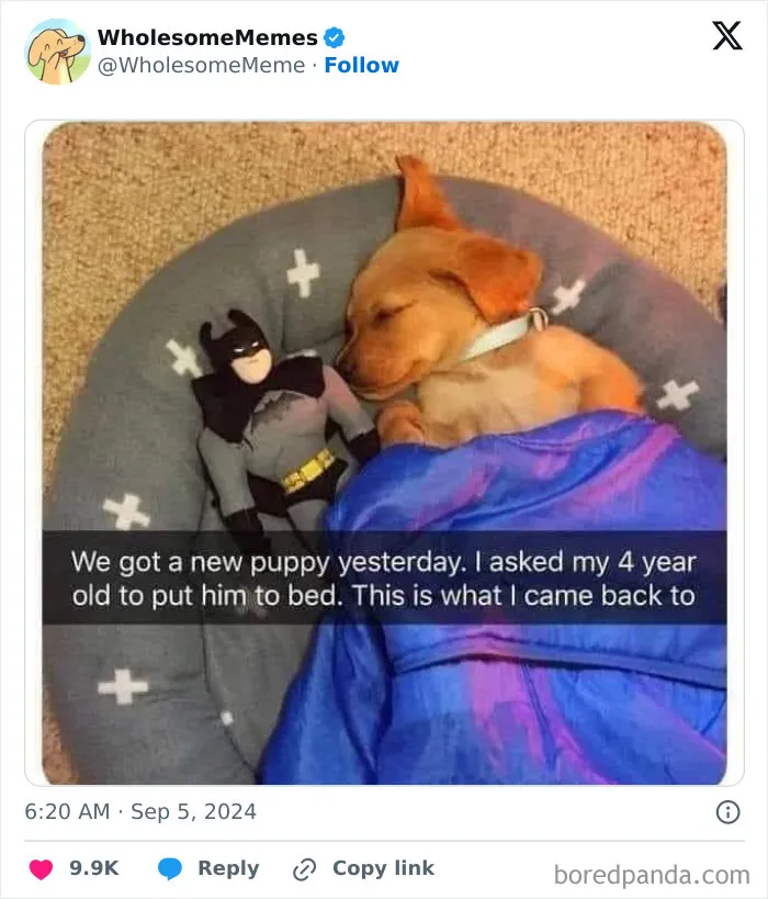 50 Wholesome Memes To Remind You That The World Isn’t All Bad (New Pics)