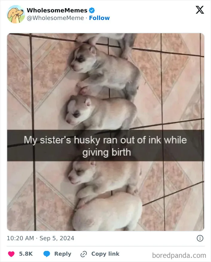50 Wholesome Memes To Remind You That The World Isn’t All Bad (New Pics)