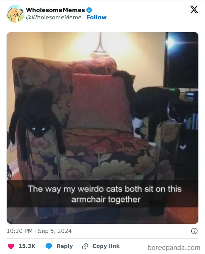 50 Wholesome Memes To Remind You That The World Isn’t All Bad (New Pics)