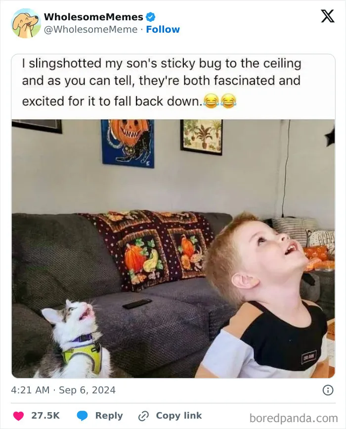 50 Wholesome Memes To Remind You That The World Isn’t All Bad (New Pics)
