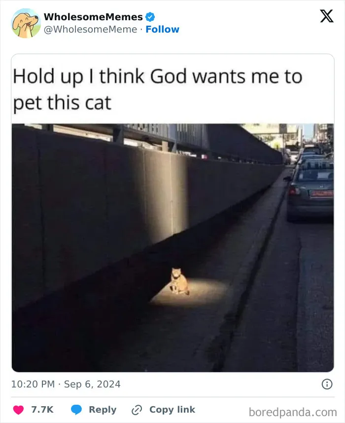 50 Wholesome Memes To Remind You That The World Isn’t All Bad (New Pics)