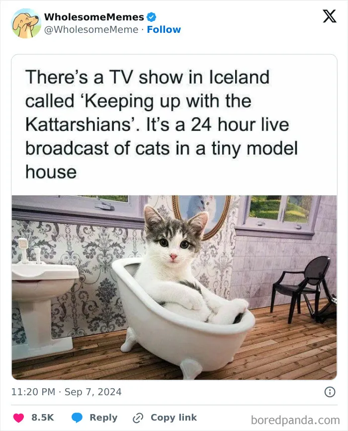50 Wholesome Memes To Remind You That The World Isn’t All Bad (New Pics)
