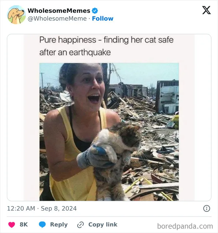 50 Wholesome Memes To Remind You That The World Isn’t All Bad (New Pics)