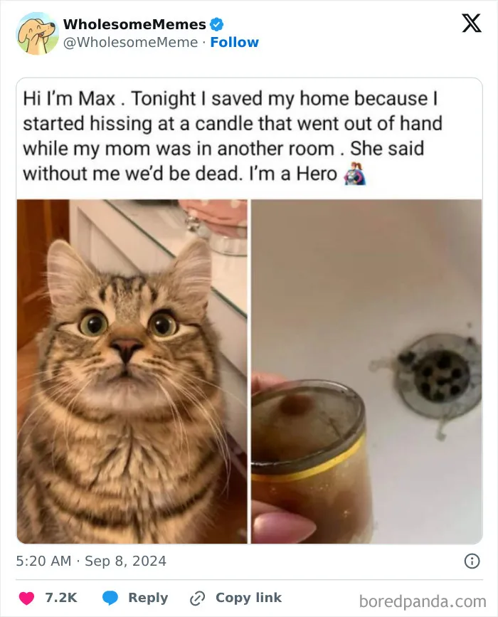 50 Wholesome Memes To Remind You That The World Isn’t All Bad (New Pics)