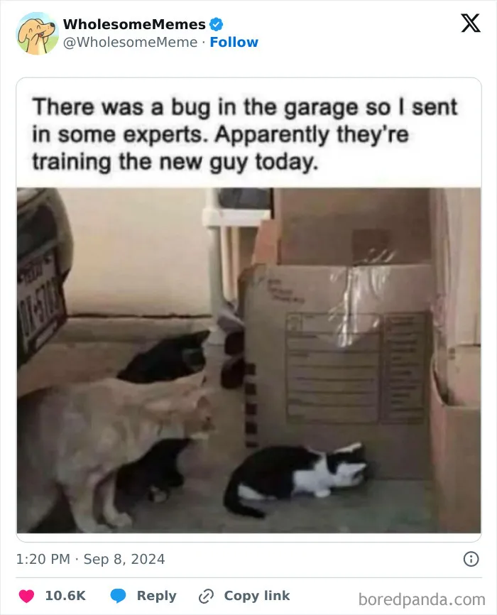 50 Wholesome Memes To Remind You That The World Isn’t All Bad (New Pics)