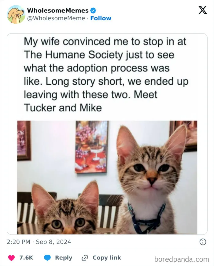 50 Wholesome Memes To Remind You That The World Isn’t All Bad (New Pics)