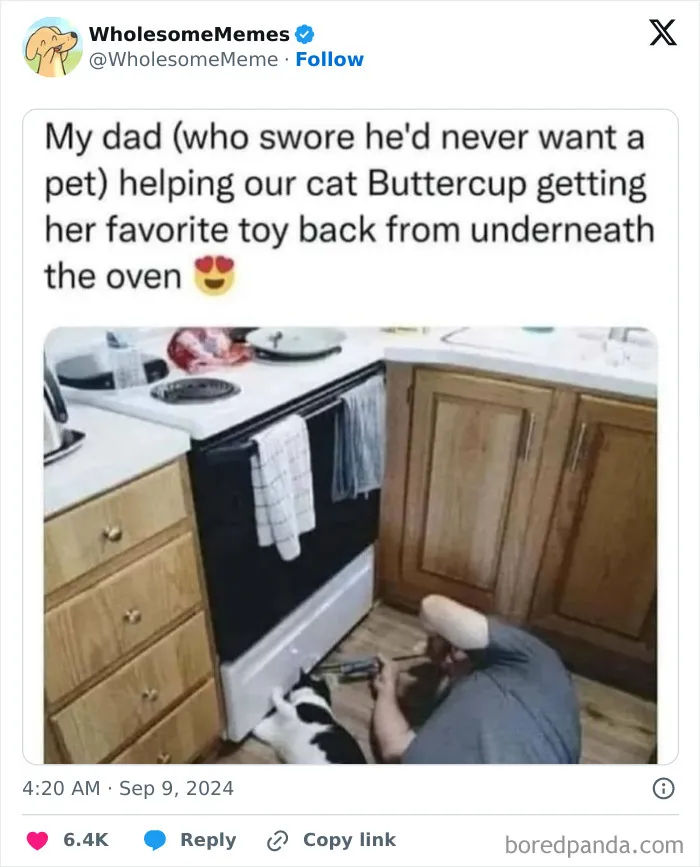 50 Wholesome Memes To Remind You That The World Isn’t All Bad (New Pics)