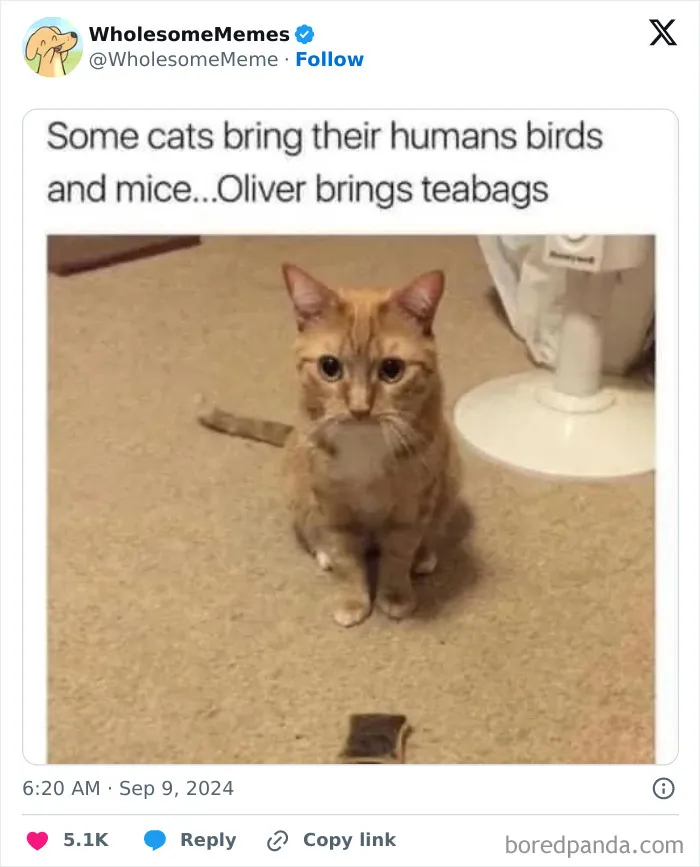 50 Wholesome Memes To Remind You That The World Isn’t All Bad (New Pics)