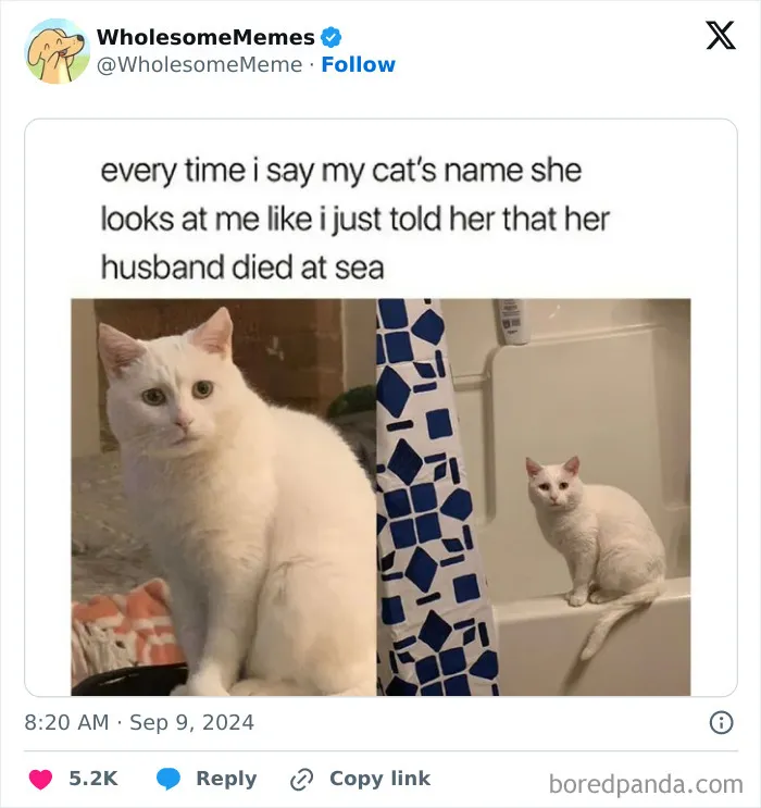 50 Wholesome Memes To Remind You That The World Isn’t All Bad (New Pics)