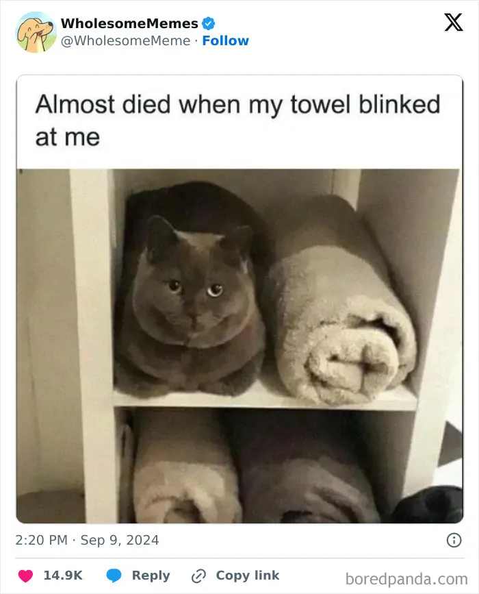 50 Wholesome Memes To Remind You That The World Isn’t All Bad (New Pics)