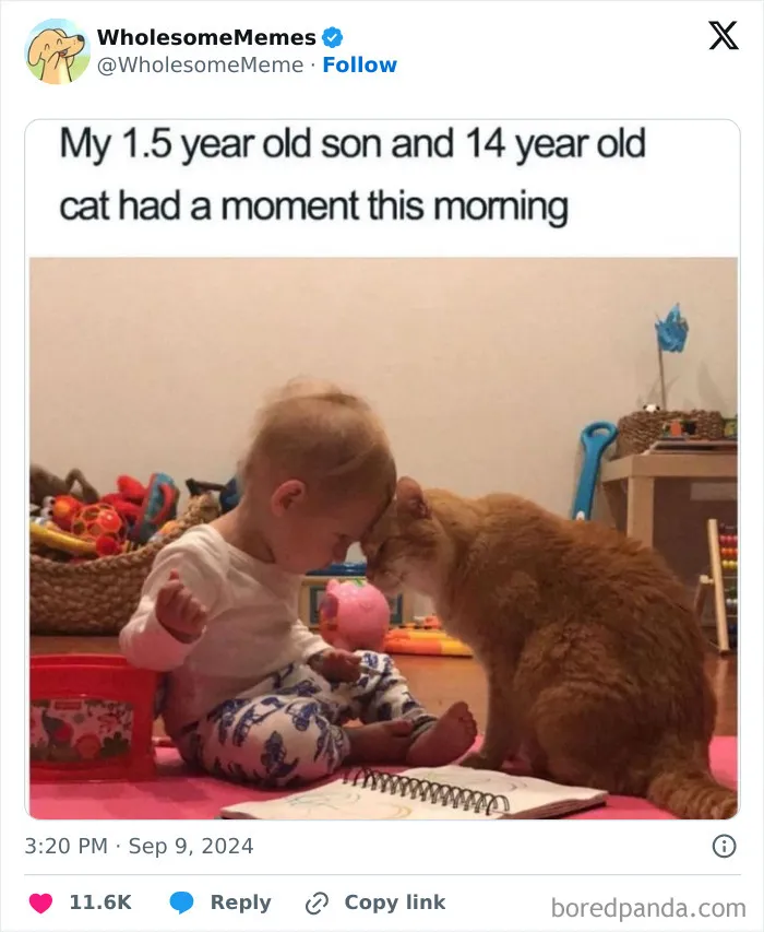 50 Wholesome Memes To Remind You That The World Isn’t All Bad (New Pics)