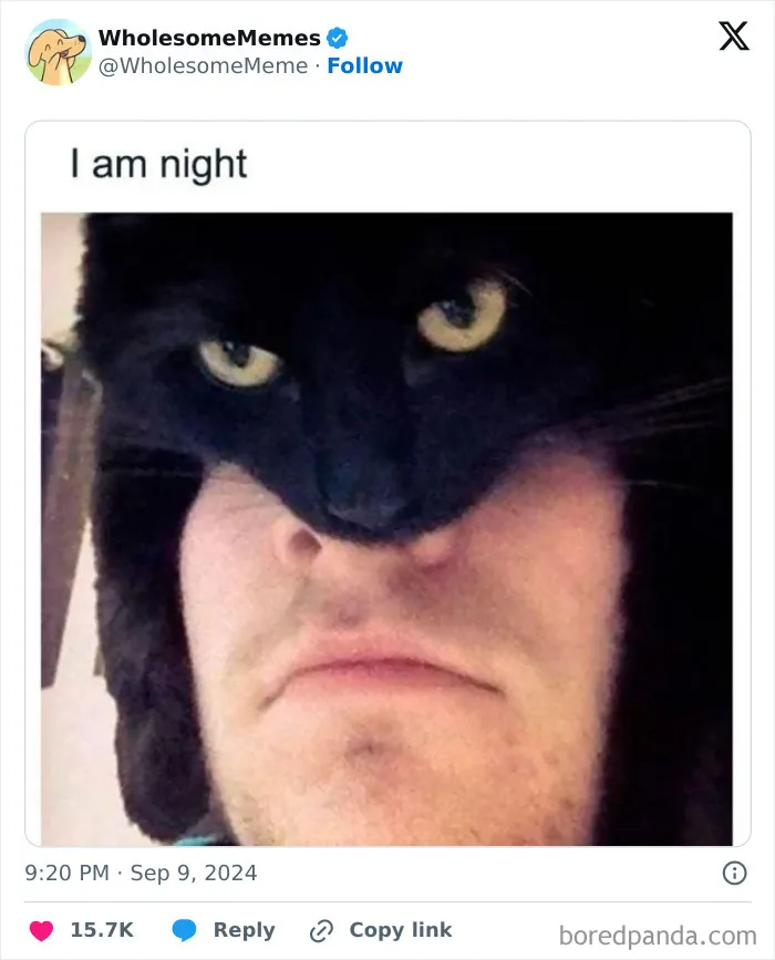 50 Wholesome Memes To Remind You That The World Isn’t All Bad (New Pics)