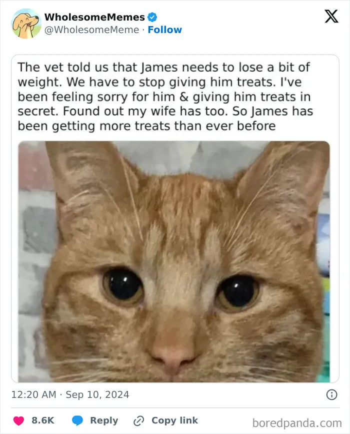 50 Wholesome Memes To Remind You That The World Isn’t All Bad (New Pics)