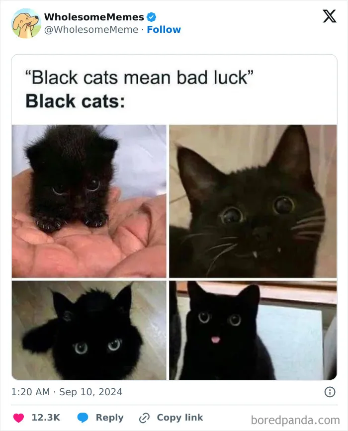 50 Wholesome Memes To Remind You That The World Isn’t All Bad (New Pics)