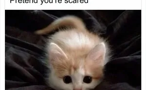 50 Wholesome Memes To Remind You That The World Isn’t All Bad (New Pics)