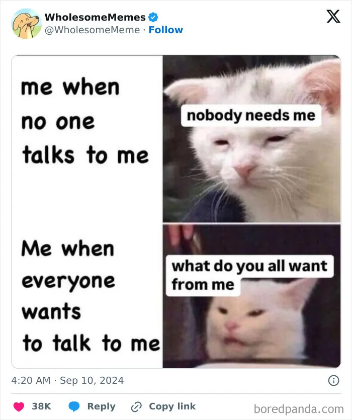 50 Wholesome Memes To Remind You That The World Isn’t All Bad (New Pics)