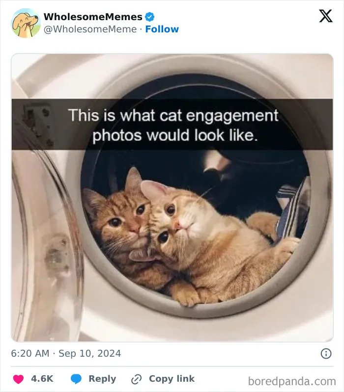 50 Wholesome Memes To Remind You That The World Isn’t All Bad (New Pics)