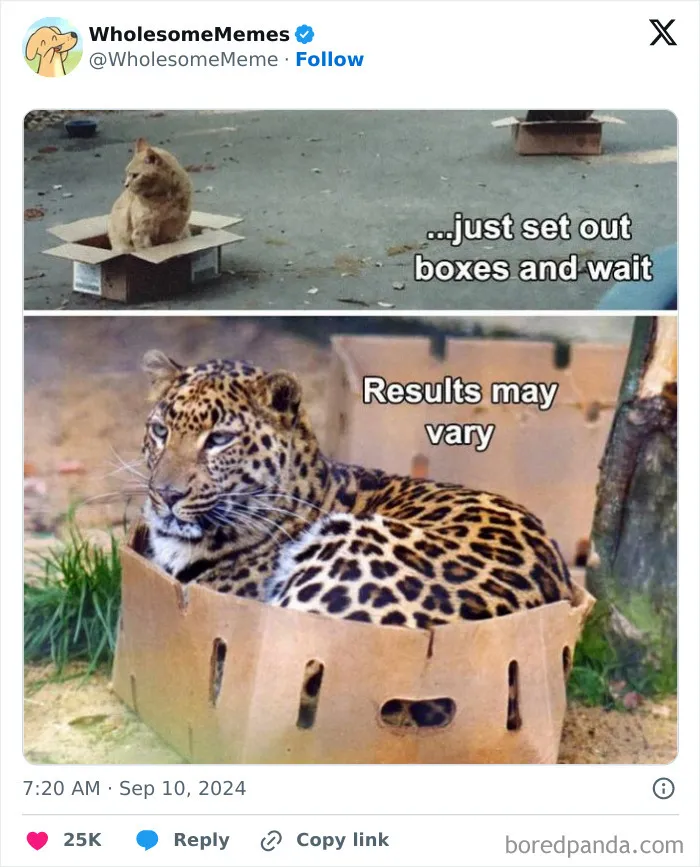 50 Wholesome Memes To Remind You That The World Isn’t All Bad (New Pics)