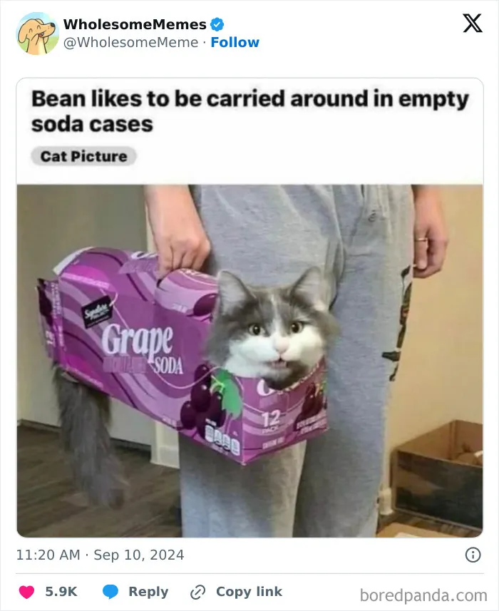50 Wholesome Memes To Remind You That The World Isn’t All Bad (New Pics)