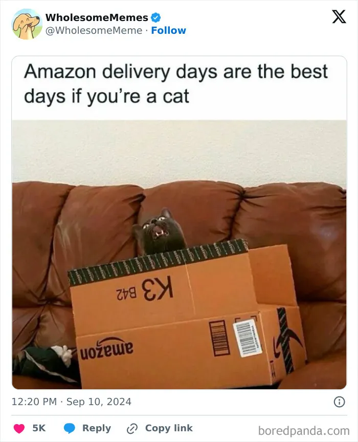 50 Wholesome Memes To Remind You That The World Isn’t All Bad (New Pics)