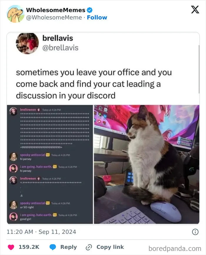 50 Wholesome Memes To Remind You That The World Isn’t All Bad (New Pics)