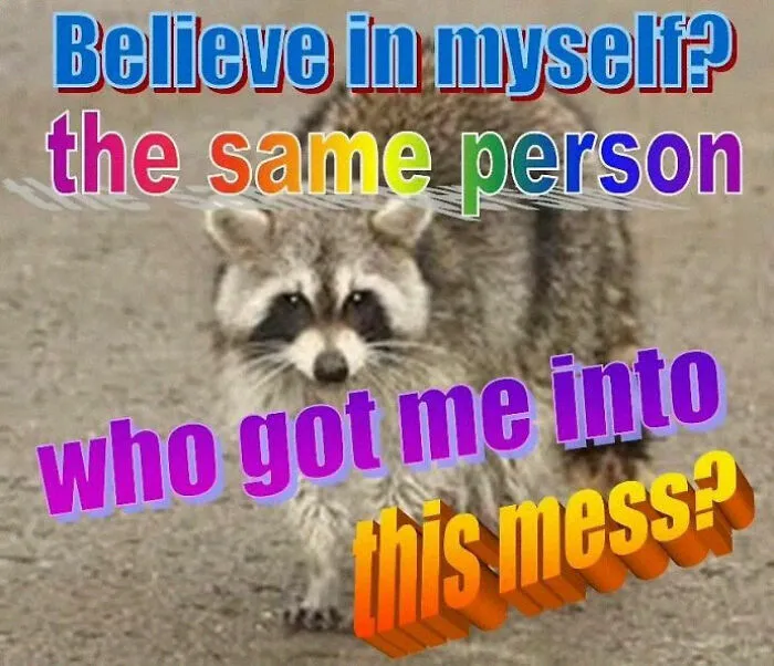 Raccoons Have Never Been More Relatable Than They Are In These 30 Dark Humor Memes
