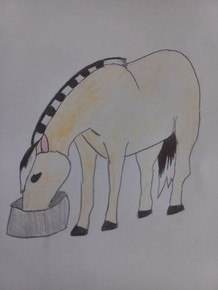 Failed Attempt At Norwegian Fjord Horse