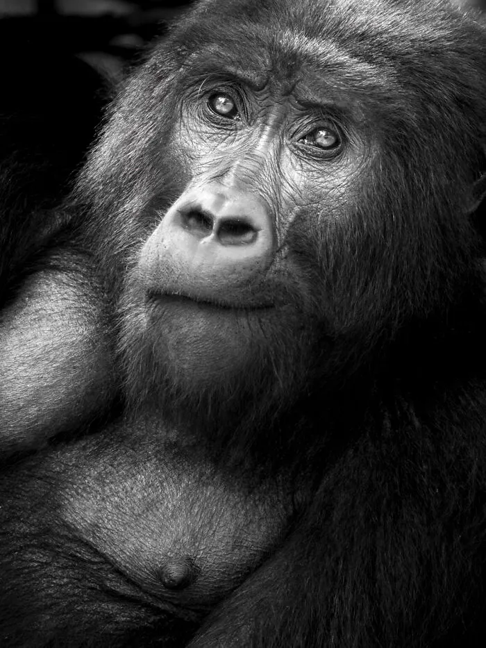 My Leap Into Wildlife Photography: 20 Images Of Nature’s Beauty