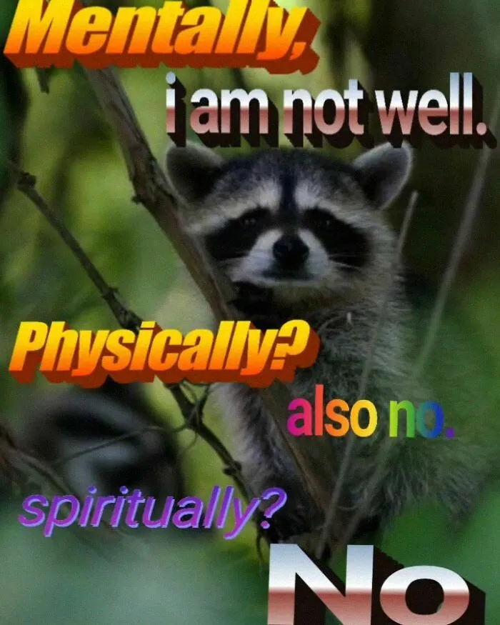 Raccoons Have Never Been More Relatable Than They Are In These 30 Dark Humor Memes